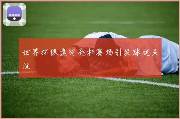 世界杯银盘将亮相赛场引发球迷关注