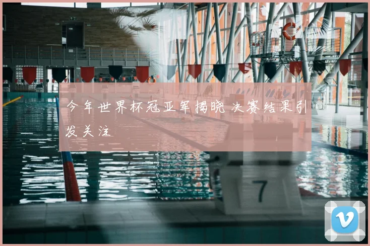 今年世界杯冠亚军揭晓 决赛结果引发关注