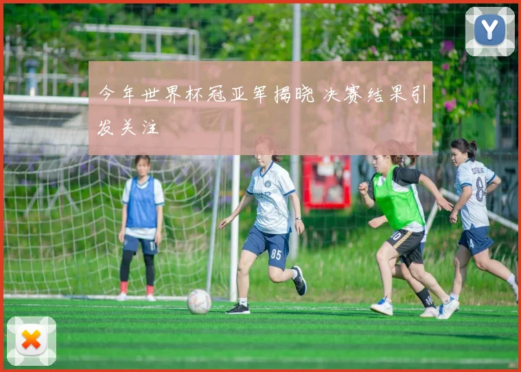 今年世界杯冠亚军揭晓 决赛结果引发关注