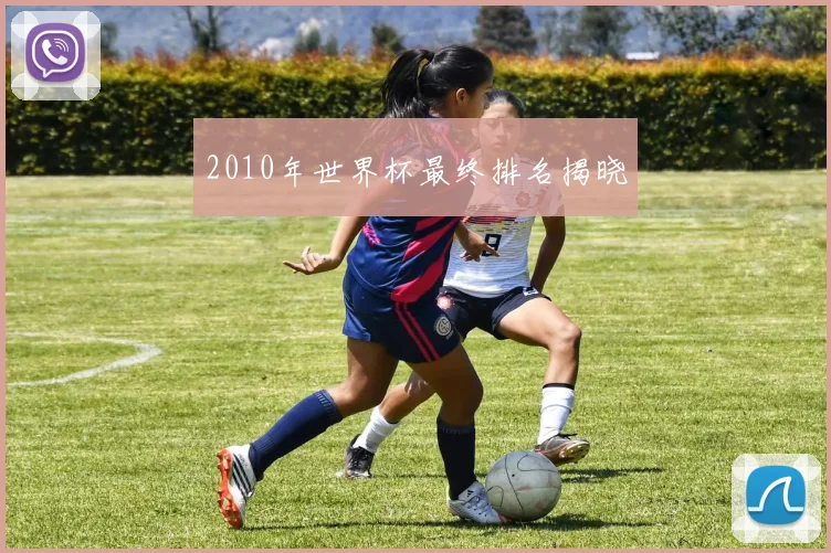 2010年世界杯最终排名揭晓