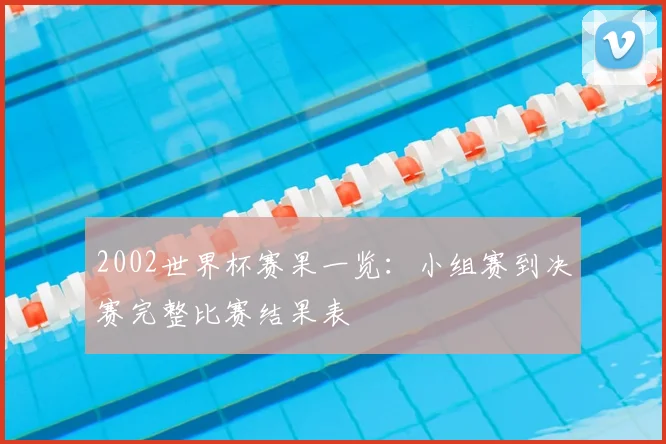 2002世界杯赛果一览：小组赛到决赛完整比赛结果表
