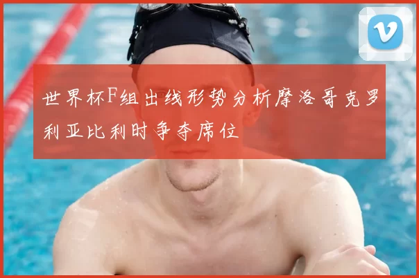 世界杯F组出线形势分析摩洛哥克罗利亚比利时争夺席位