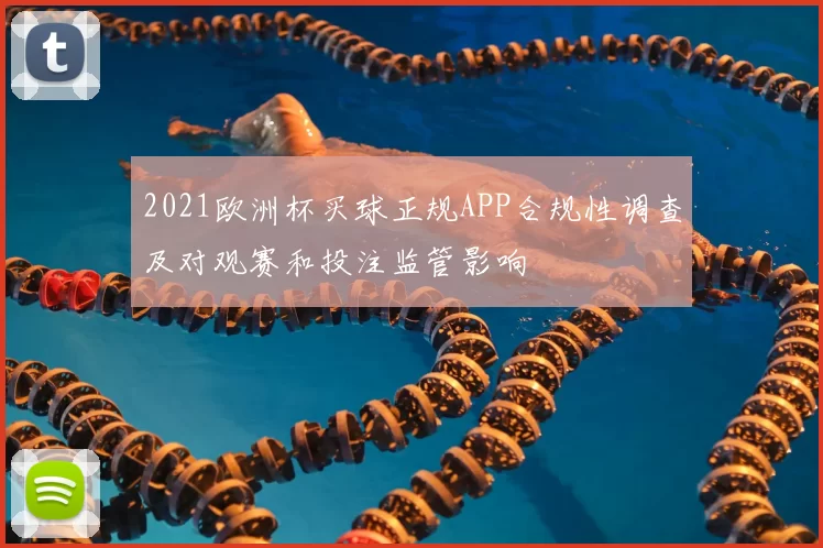 2021欧洲杯买球正规APP合规性调查及对观赛和投注监管影响