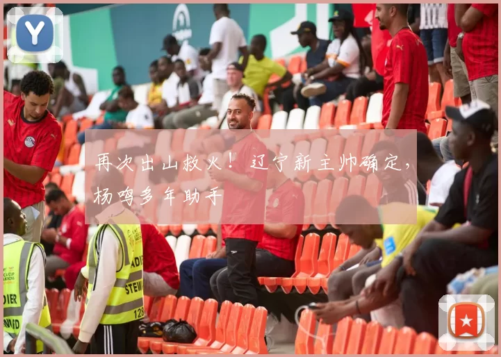 再次出山救火！辽宁新主帅确定，杨鸣多年助手