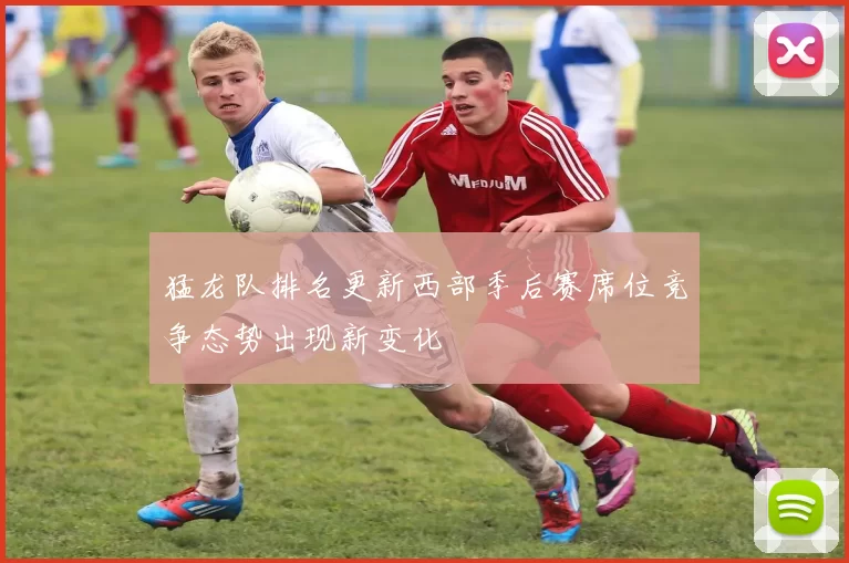 猛龙队排名更新西部季后赛席位竞争态势出现新变化